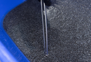 Kaviarverarbeitung Wässern