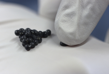 Kaviarverarbeitung verkosten