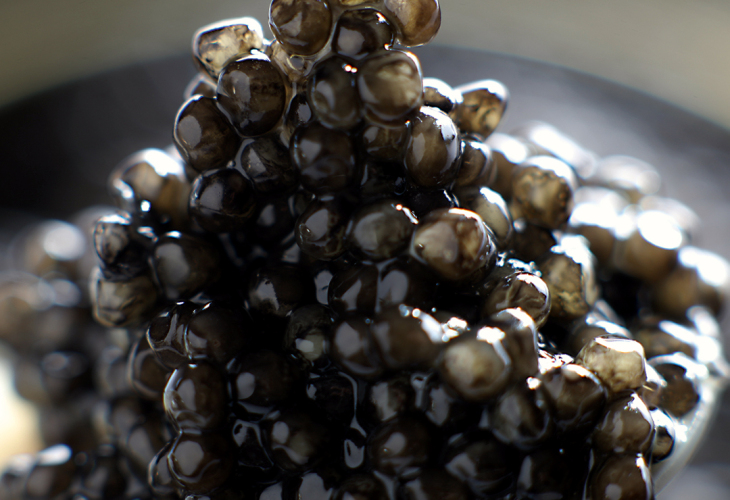 Caviar