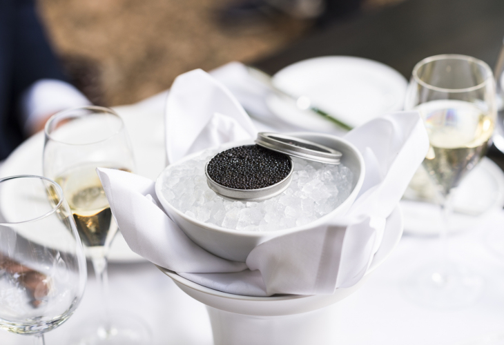 Kaviar in der Dose auf Eis